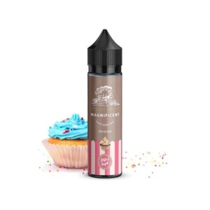 Steam Train Magnificent 20/60ml