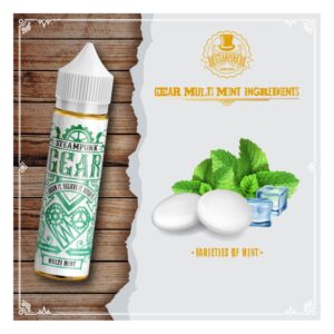 Steampunk Gear Multi Mint 20/60ml