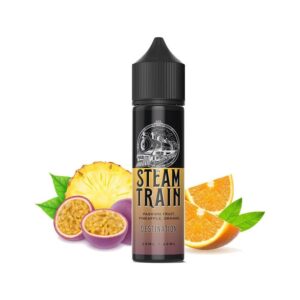 Steam Train - Destination 20/60ml