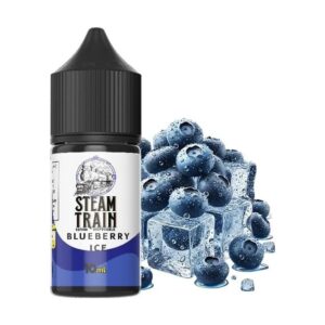 Steam Train - Disposable Edition Blueberry Ice 10/30ml