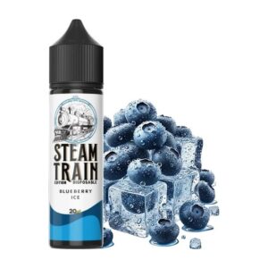 Steam Train - Disposable Edition Blueberry Ice 20/60ml