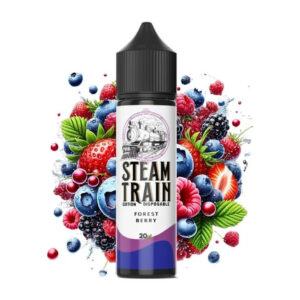 Steam Train - Disposable Edition Forest Berry 20/60ml