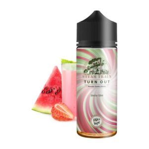 Steam Train - Turn Out 30/120ml