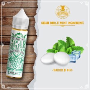 Steampunk - Gear Multi Mint 20/60ml
